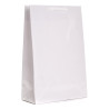 Torba laminowana BI 17x7x25 cm -100 szt