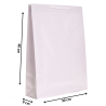 Torba laminowana BI 30x9x40 cm